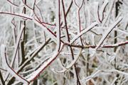 ../galleries/2020.01.25_Hoher_Hagen/DSC_3984.thumbnail.jpg