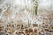 ../galleries/2020.01.25_Hoher_Hagen/DSC_3988.thumbnail.jpg