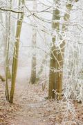 ../galleries/2020.01.25_Hoher_Hagen/DSC_3990.thumbnail.jpg