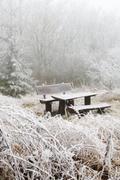 ../galleries/2020.01.25_Hoher_Hagen/DSC_3995.thumbnail.jpg