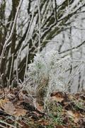 ../galleries/2020.01.25_Hoher_Hagen/DSC_3998.thumbnail.jpg