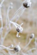 ../galleries/2020.01.25_Hoher_Hagen/DSC_4016.thumbnail.jpg