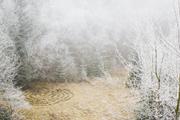 ../galleries/2020.01.25_Hoher_Hagen/DSC_4017.thumbnail.jpg