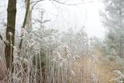 ../galleries/2020.01.25_Hoher_Hagen/DSC_4018.thumbnail.jpg