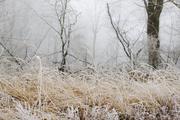 ../galleries/2020.01.25_Hoher_Hagen/DSC_4029.thumbnail.jpg