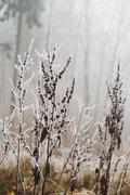 ../galleries/2020.01.25_Hoher_Hagen/DSC_4034.thumbnail.jpg