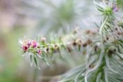 ../galleries/2020.02.02_Botanischer_Garten_mit_Christian/DSC_4064.thumbnail.jpg