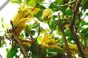 ../galleries/2020.02.02_Botanischer_Garten_mit_Christian/DSC_4076.thumbnail.jpg