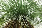 ../galleries/2020.02.02_Botanischer_Garten_mit_Christian/DSC_4093.thumbnail.jpg