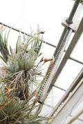 ../galleries/2020.02.02_Botanischer_Garten_mit_Christian/DSC_4131.thumbnail.jpg