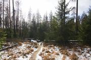 ../galleries/2020.02.15_Harz_Lonau/DSC_4197.thumbnail.jpg