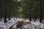 ../galleries/2020.02.15_Harz_Lonau/DSC_4212.thumbnail.jpg
