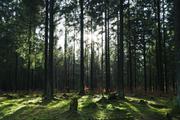 ../galleries/2020.02.15_Harz_Lonau/DSC_4225.thumbnail.jpg