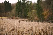 ../galleries/2020.02.22_Hoher_Meißner_mit_Annika/DSC_4268.thumbnail.jpg