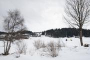 ../galleries/2020.03.05_Schweiz_Valata_-_Tag_1/DSC_4296.thumbnail.jpg