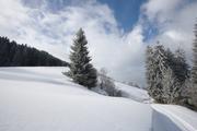 ../galleries/2020.03.07_Schweiz_Valata_-_Tag_3/DSC_4334.thumbnail.jpg