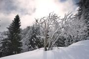 ../galleries/2020.03.07_Schweiz_Valata_-_Tag_3/DSC_4358.thumbnail.jpg