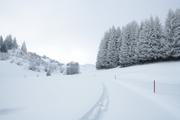 ../galleries/2020.03.07_Schweiz_Valata_-_Tag_3/DSC_4360.thumbnail.jpg
