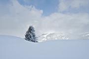 ../galleries/2020.03.07_Schweiz_Valata_-_Tag_3/DSC_4370.thumbnail.jpg