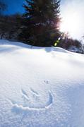 ../galleries/2020.03.08_Schweiz_Valata_-_Tag_4/DSC_4574.thumbnail.jpg