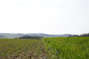 ../galleries/2020.03.15_Adelebsen/DSC_4453.thumbnail.jpg