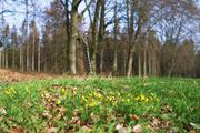 ../galleries/2020.03.15_Adelebsen/DSC_4456.thumbnail.jpg