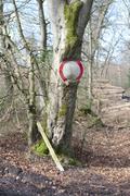 ../galleries/2020.03.15_Adelebsen/DSC_4457.thumbnail.jpg