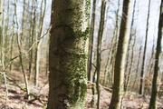 ../galleries/2020.03.15_Adelebsen/DSC_4484.thumbnail.jpg