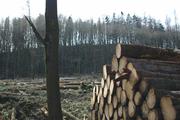../galleries/2020.03.15_Adelebsen/DSC_4503.thumbnail.jpg