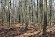 ../galleries/2020.03.15_Adelebsen/DSC_4504.thumbnail.jpg