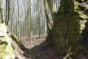 ../galleries/2020.03.15_Adelebsen/DSC_4507.thumbnail.jpg