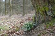 ../galleries/2020.03.15_Adelebsen/DSC_4520.thumbnail.jpg