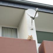 ../galleries/2020.03.19_Weender_Wald/DSC_4533.thumbnail.jpg