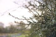 ../galleries/2020.03.19_Weender_Wald/DSC_4535.thumbnail.jpg