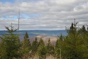 ../galleries/2020.03.21_Harz_Scharzfeld/DSC_4568.thumbnail.jpg