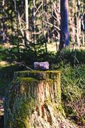 ../galleries/2020.03.22_Wandern_Clausthal-Zellerfeld/DSC_4572.thumbnail.jpg