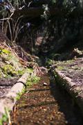../galleries/2020.03.22_Wandern_Clausthal-Zellerfeld/DSC_4584.thumbnail.jpg