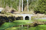 ../galleries/2020.03.22_Wandern_Clausthal-Zellerfeld/DSC_4598.thumbnail.jpg