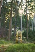 ../galleries/2020.03.22_Wandern_Clausthal-Zellerfeld/DSC_4615.thumbnail.jpg