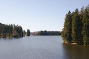 ../galleries/2020.03.22_Wandern_Clausthal-Zellerfeld/DSC_4618.thumbnail.jpg