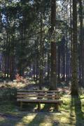 ../galleries/2020.03.28_Wandern_Harz_Lerbach/DSC_4644.thumbnail.jpg