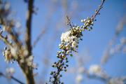 ../galleries/2020.03.28_Wandern_Harz_Lerbach/DSC_4675.thumbnail.jpg
