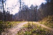 ../galleries/2020.03.28_Wandern_Harz_Lerbach/DSC_4677.thumbnail.jpg