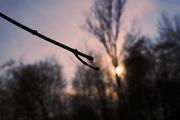 ../galleries/2020.04.02_Weender_Wald/DSC_4738.thumbnail.jpg