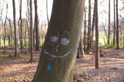 ../galleries/2020.04.02_Weender_Wald/DSC_4745.thumbnail.jpg