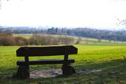 ../galleries/2020.04.02_Weender_Wald/DSC_4748.thumbnail.jpg