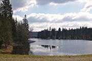 ../galleries/2020.04.04_Wandern_Harz_Bad_Grund/DSC_4750.thumbnail.jpg