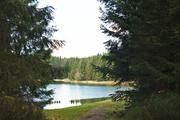 ../galleries/2020.04.04_Wandern_Harz_Bad_Grund/DSC_4755.thumbnail.jpg