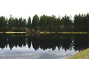 ../galleries/2020.04.04_Wandern_Harz_Bad_Grund/DSC_4776.thumbnail.jpg