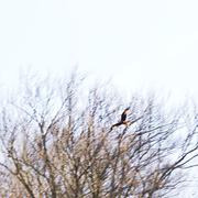 ../galleries/2020.04.10_Wandern_Harz_Bad_Sachsa/DSC_4859.thumbnail.jpg